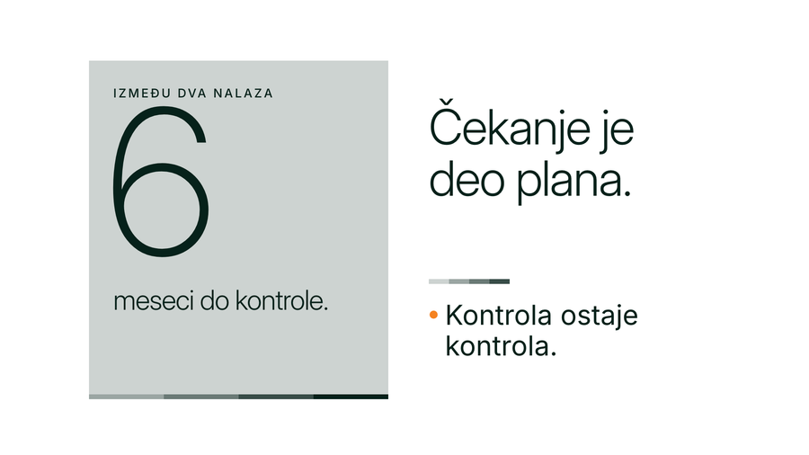Tipografska naslovna slika: velika cifra 6 na sivoj pločici, uz tri kratke rečenice o šest meseci čekanja.