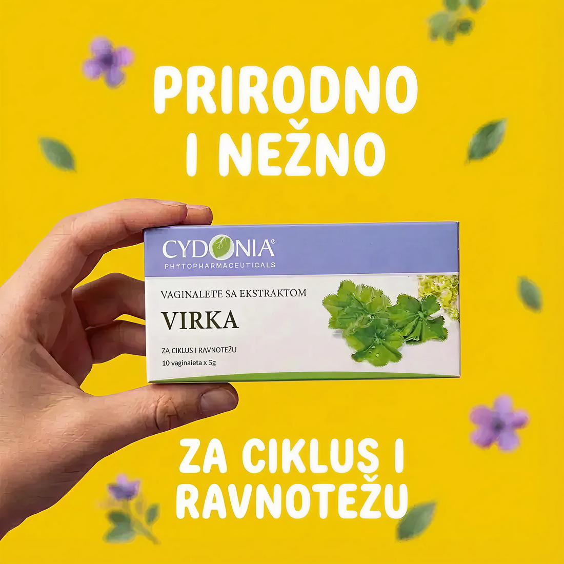 REŠENJE ZA MIOME, ENDOMETRIOZU I BOLNE CIKLUSE 🌸