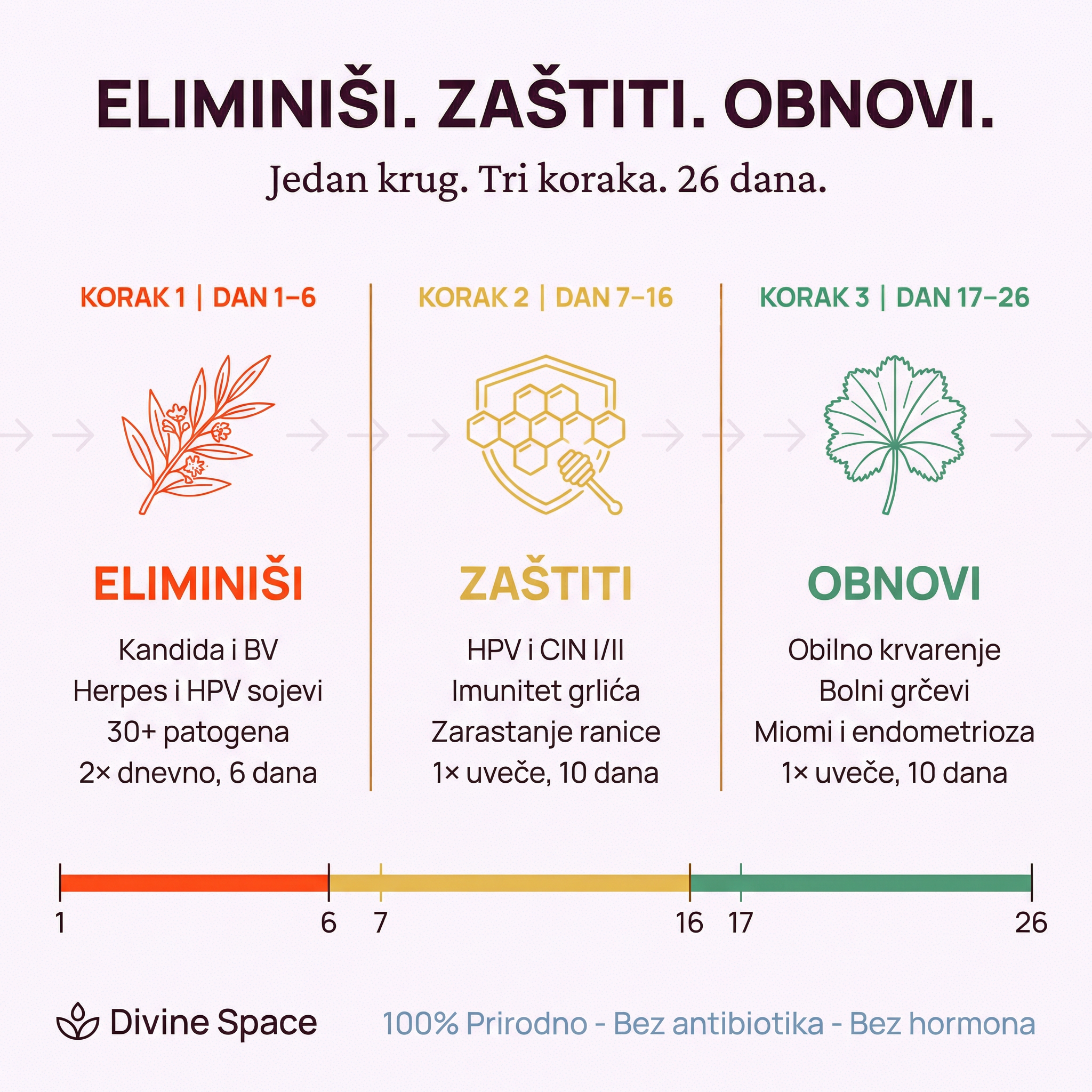 ELIMINIŠI. ZAŠTITI. REGULIŠI. Trostepena Prirodna Terapija za Infekcije, HPV i Hormonski Disbalans 🌿