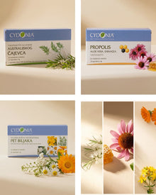 Pun redosled, Čajevac, Propolis i Pet Biljaka redom | DIVINE · kratak klip